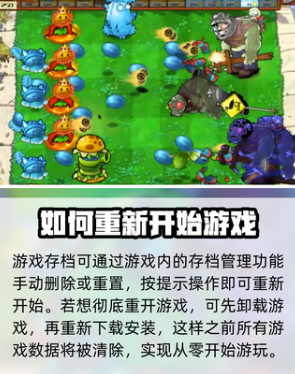 pvzӽôֲ pvzӽֲ