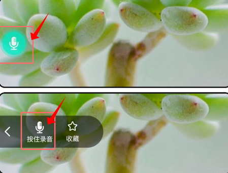 app°汾