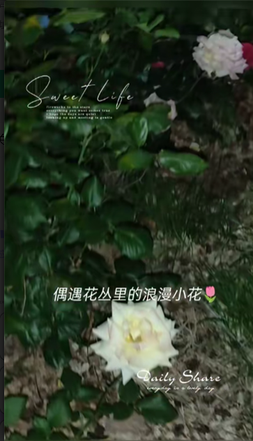 °汾