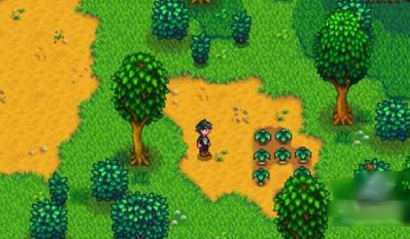 ¶1.6.9ֻ(Stardew Valley)