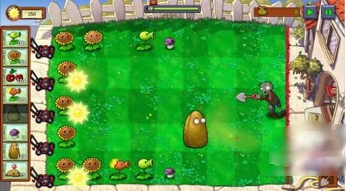 pvz(pvzװ)