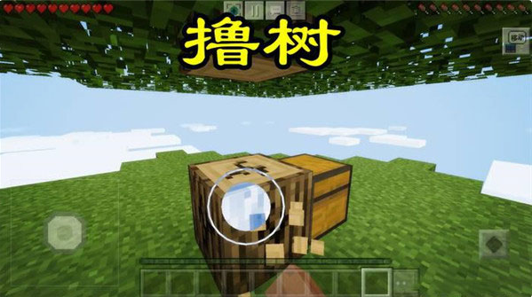 ҵյϰ