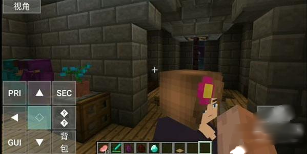 ҵħģ(Jenny Mod)