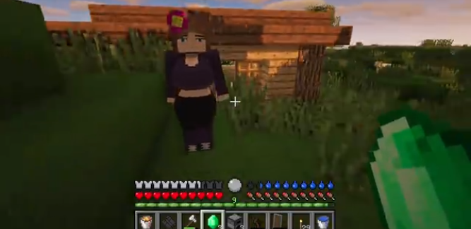 ҵjennyģ(Jenny Mod)