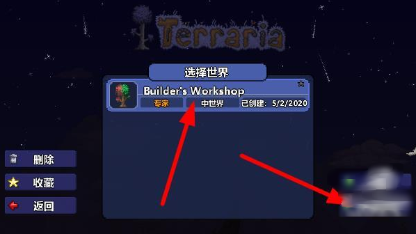 ̩ƤƤܰ(Terraria)