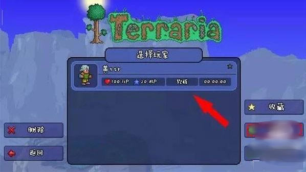 ̩ƤƤܰ(Terraria)
