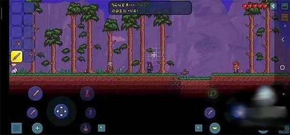 ̩ƤƤܰ(Terraria)