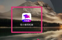 С˾appôӵ С˾˽ӵ