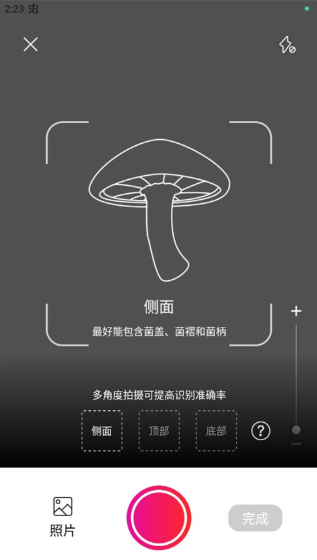 Ģʶɨһɨعٷ(Picture Mushroom)