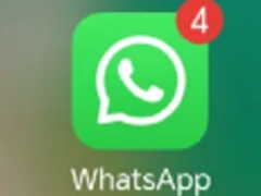 whatsapp whatsappղ֤ô