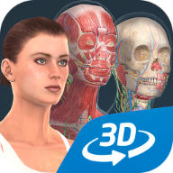 humanbodyٷ2025(Human body female)v1.0 Ѱ