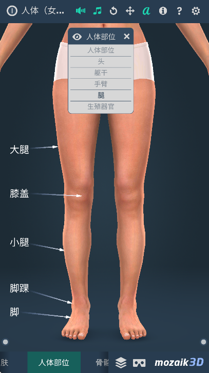 humanbodyٷ2025(Human body female)v1.0 Ѱ
