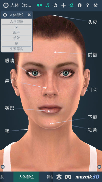 humanbodyٷ2025(Human body female)v1.0 Ѱ