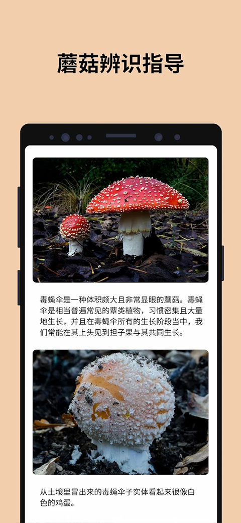 Ģʶɨһɨعٷ(Picture Mushroom)v2.9.30 ׿
