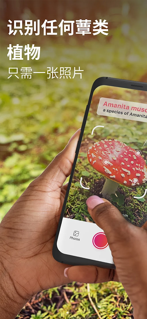 Ģʶɨһɨعٷ(Picture Mushroom)v2.9.30 ׿