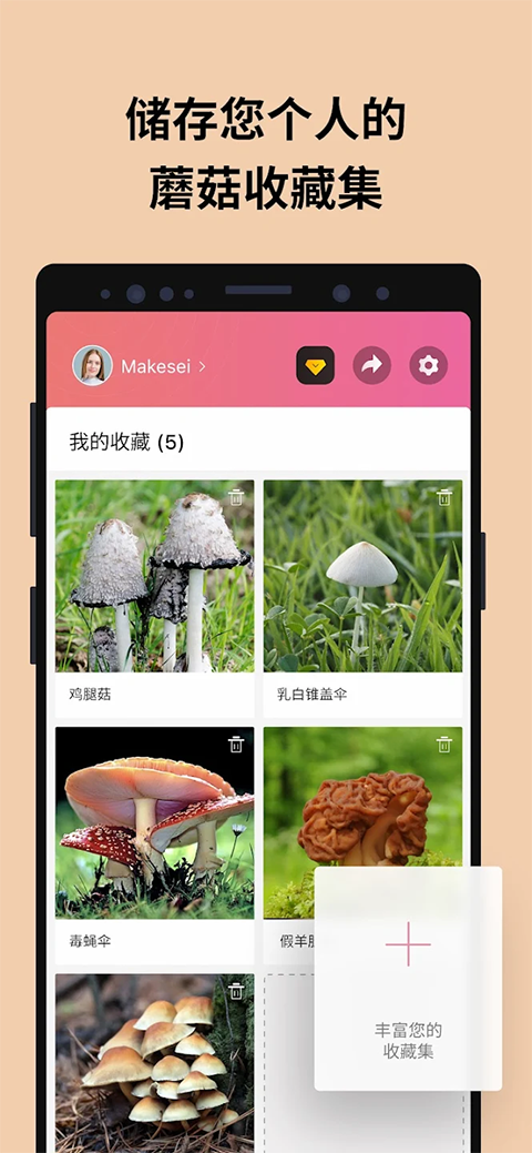 Ģʶɨһɨعٷ(Picture Mushroom)v2.9.30 ׿