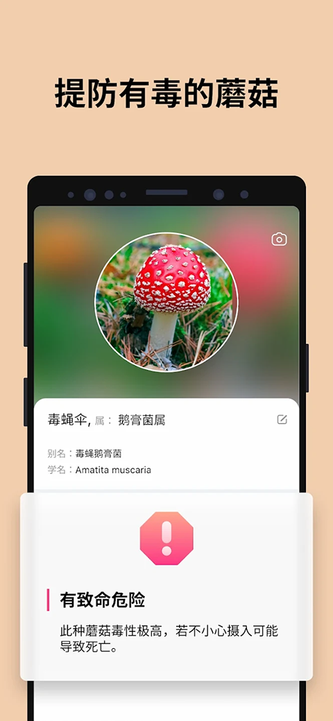 Ģʶɨһɨعٷ(Picture Mushroom)v2.9.30 ׿