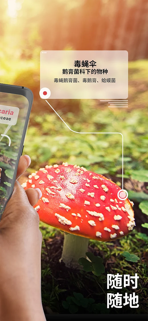 Ģʶɨһɨعٷ(Picture Mushroom)v2.9.30 ׿