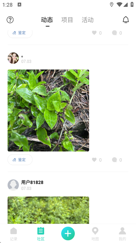 ۲ذװֻ°v4.0.8 ׿