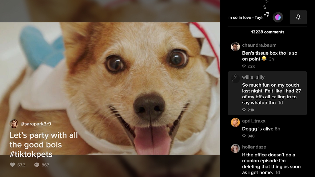 TikTokTVذ׿v12.3.7.1 °