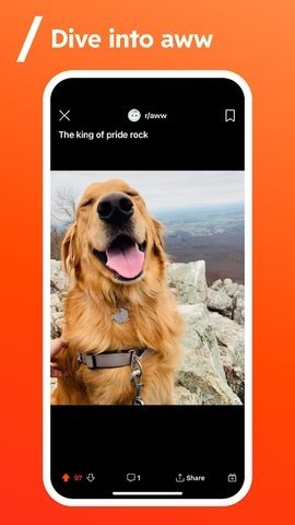 Redditappv2025.24.0 ׿