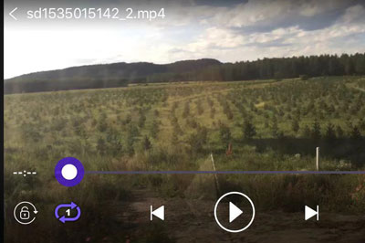 ƻƵذװֻv2.1.231210 °