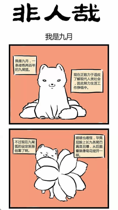 Ϧappٷ°
