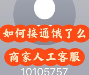 ô˹ͷ绰 ôͷ绰ת˹̳