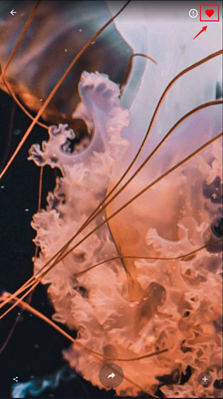 4K Wallpapersapp°