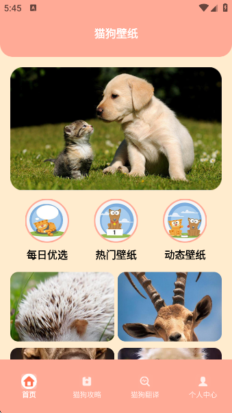 зappٷ