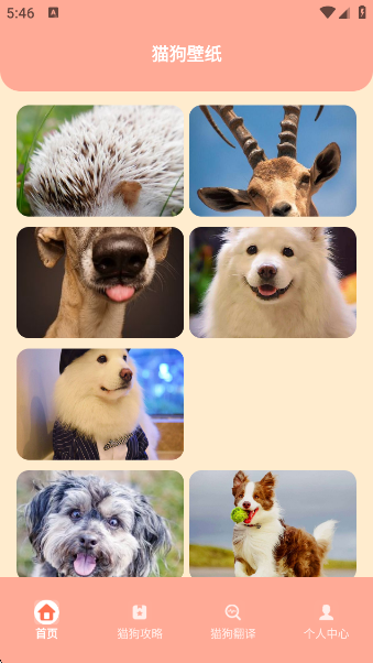зappٷ