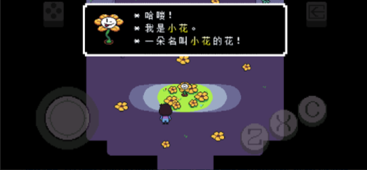 ˵֮Debugרapp