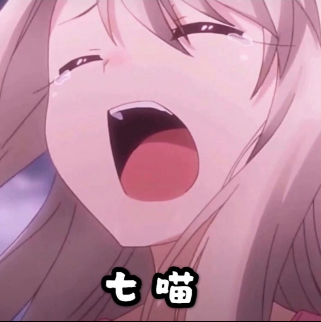 °v3.1 ׿
