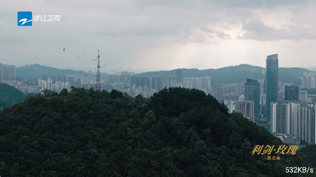 ֱ°汾װv8.8.8 ׿