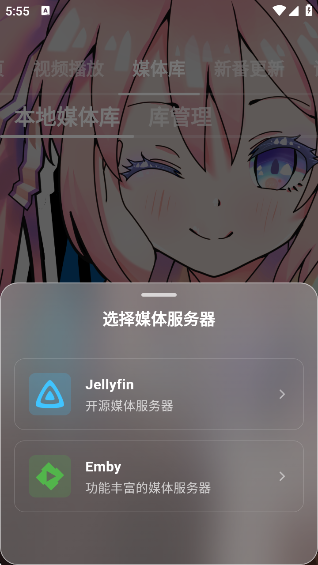 NipaPlayٷv1.4.36 ׿