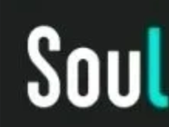 Soul24Сʱ˹ͷ绰 Soul˹ͷ