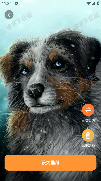 ֽapp°