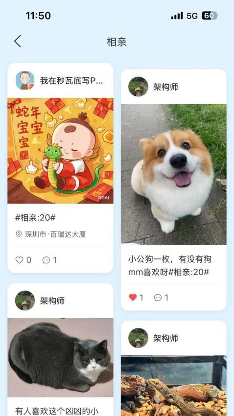petmeetֻv2.1 ׿