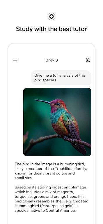 Grok4ٷv1.0.37-release.00 °