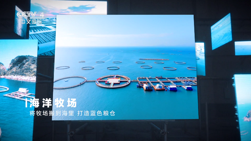 ѵ(һ)tvذ׿v4.4 ֻ