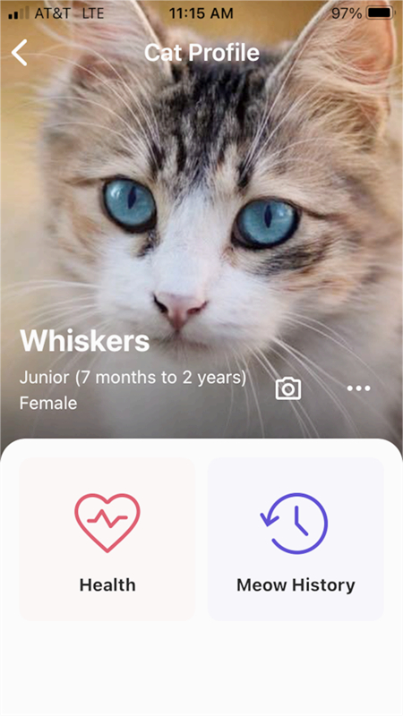 MeowTalk˵appعٷv2.5.1 ׿