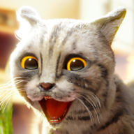 èģ2ٷذ׿(Cat Simulator 2)v1.1.4 °