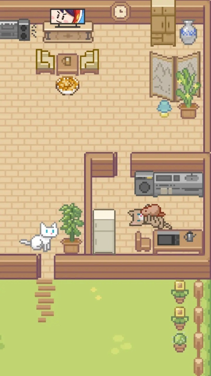 Miaoֻv1.2.0 İ