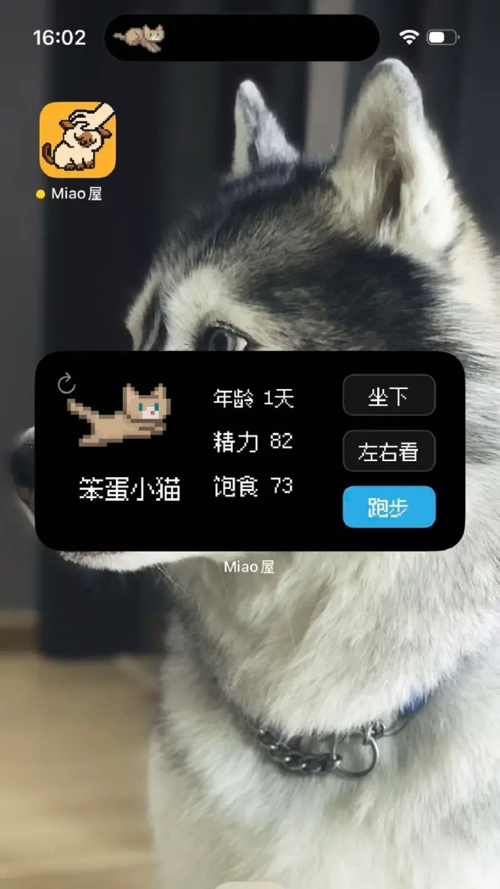 Miaoֻv1.2.0 İ
