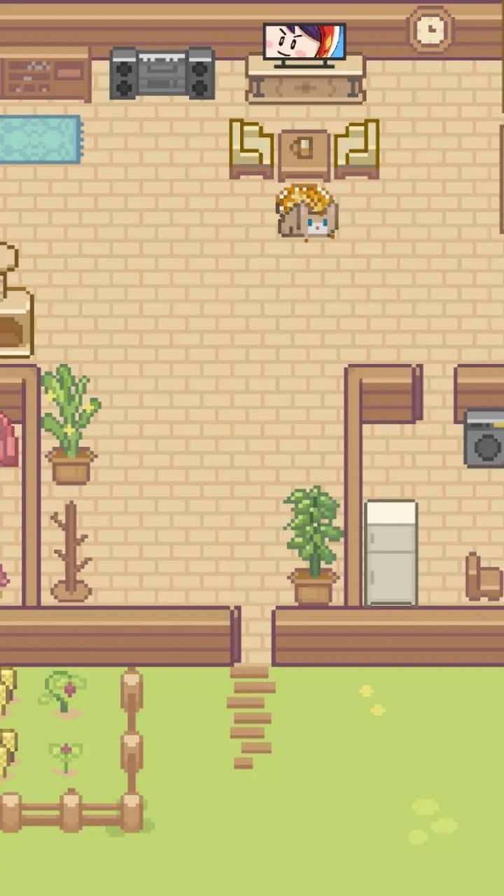 Miaoֻv1.2.0 İ
