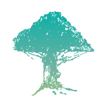 ҽapp°汾ذװv2.10.31 ֻ