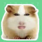 appv1.0 ׿