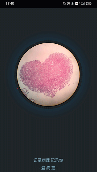 �������ٷ����ذ�׿��