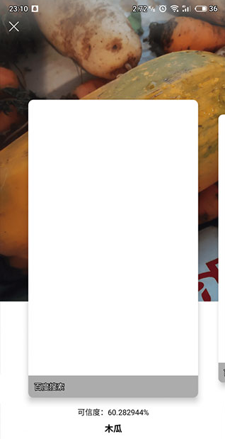 ʶ������app�ֻ���2026