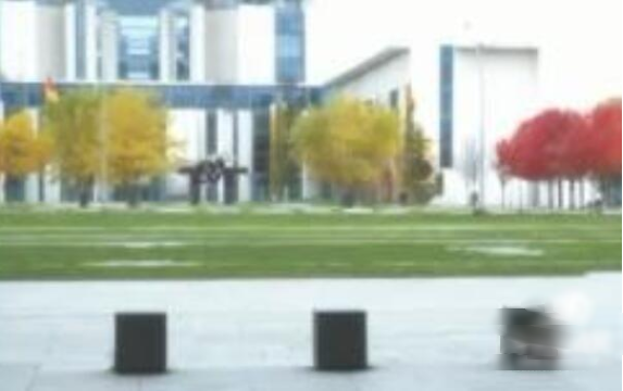 ������Ϸ�ٷ�������(VIRTUES v17 Only)